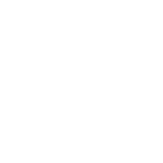 qr icon